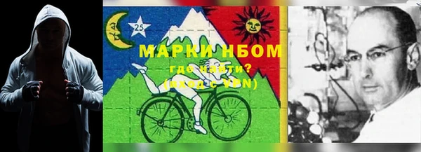 шишки Баксан