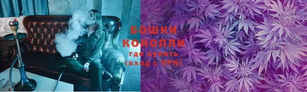 шишки Баксан