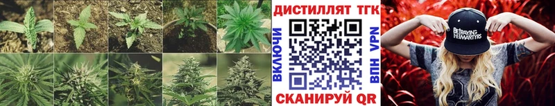 ТГК вейп с тгк  Заречный 