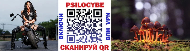 что такое Заречный Галлюциногенные грибы мицелий